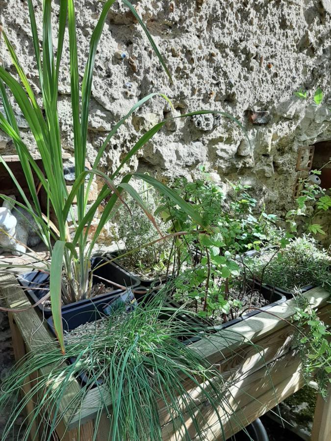 Maison Longere Les Camelias Vinneuf Εξωτερικό φωτογραφία
